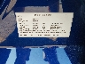 7SAYGDEE3PA****** Used 2023 Tesla Model Y in Electric Vehicle Auctions