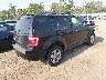 1FMCU03G89K****** Salvamento y Destrozados 2009 Ford Escape en Estado de Ohio