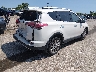 JTMDFREV0GJ****** Salvage and Wrecked 2016 Toyota RAV4 in Illinois State
