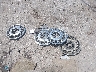 2G4WS52J021****** Wrecked 2002 Buick Century in New Mexico State