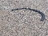 3CZRU6H50GM****** Wrecked 2016 Honda HR-V in Iowa State