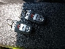 WAUFGAFC8FN****** Salvamento 2015 Audi A6 en Estado de Wisconsin