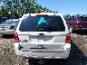 1FMCU0D78CK****** Destrozados 2012 Ford Escape