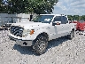 1FTFW1ET0EK****** Usados y Reparables 2014 Ford F-150 en Pensacola