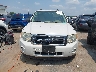 1FMCU03G99K****** Wrecked 2009 Ford Escape in North Carolina State