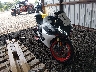 LCEPESLAXS6****** Salvamento y Destrozados 2025 CF Moto 450SS en Memphis