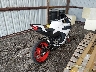 LCEPESLAXS6****** Salvamento y Destrozados 2025 CF Moto 450SS en Estado de Tennessee