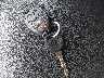 1G1ZD5E06CF****** Salvage 2012 Chevrolet Malibu in Florida State