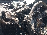 1FMCU9H67LU****** Salvage 2020 Ford Escape in Oklahoma City