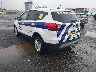 1FMCU9GD5KU****** Salvamento y Reparables 2019 Ford Escape en Long Island