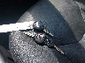 JTMBK32V885****** Salvage 2008 Toyota RAV4 in Virginia State