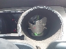 1ZVHT80NX75****** Salvamento 2007 Ford Mustang en Suffolk