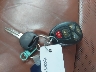 1GNKVJKD1FJ****** Salvamento 2015 Chevrolet Traverse en Estado de Nueva York