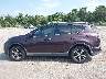 2T3WFREV5GW****** Reparables 2016 Toyota RAV4 en Estado de Florida