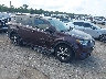 2T3WFREV5GW****** Salvamento y Destrozados 2016 Toyota RAV4 en Tampa North