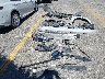 4T1C11AK9NU****** Repairable 2022 Toyota Camry
