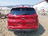 KNDPNCAC0H7****** Destrozados 2017 Kia Sportage