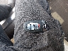 WAUFFAFL2EA****** Salvage 2014 Audi A4 in New Jersey State
