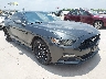 1FA6P8AMXG5****** Salvage and Wrecked 2016 Ford Mustang in San Antonio South