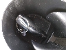 WDDSJ4GB1GN****** Salvage 2016 Mercedes-Benz Cla 250 in Virginia State