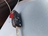 1FTEX1C57JK****** Salvage 2018 Ford F-150 in New Mexico State