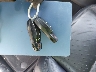 WP1AB2A51HL****** Salvage 2017 Porsche Macan in California State