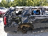1GNSKBKC5GR****** Wrecked 2016 Chevrolet Tahoe