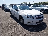 1G11A5SA5DF****** Salvage and Wrecked 2013 Chevrolet Malibu in Nashville