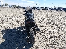 JKAEXVD158A****** Salvage and Repairable 2008 Kawasaki Ninja 500R in Oregon State