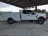 1FT7X2BA9PE****** Used 2023 Ford F-250 in Florida State