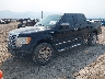 1FTPW14VX9F****** Used and Repairable 2009 Ford F-150 in Missoula