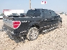 1FTPW14VX9F****** Salvage and Wrecked 2009 Ford F-150 in Montana State