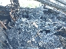 2FMDK3JC0DB****** Used and Repairable 2013 Ford Edge in Virginia State