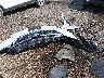 5GAERDKW3MJ****** Wrecked 2021 Buick Enclave in Mississippi State