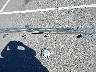 5TFDY5F11LX****** Destrozados 2020 Toyota Tundra en Estado de California