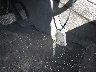1G1ZD5ST7KF****** Salvage 2019 Chevrolet Malibu in Pennsylvania State