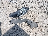 3CZRU6H79GM****** Wrecked 2016 Honda HR-V in Ohio State