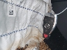 WDDSJ4EB4EN****** Salvamento 2014 Mercedes-Benz CLA-Class en Estado de Luisiana
