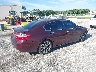 1HGCR2F52FA****** Salvage and Wrecked 2015 Honda Accord in Florida State