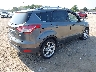 1FMCU9J91EU****** Salvage and Wrecked 2014 Ford Escape in Wisconsin State