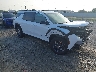1GNERGKS7RJ****** Salvage and Wrecked 2024 Chevrolet Traverse in Appleton