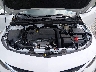 1G1ZD5STXPF****** Reparables 2023 Chevrolet Malibu en Southern New Jersey
