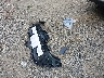 19XFL2H88TE****** Wrecked 2026 Honda Civic in Ohio State