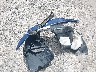 4T1DAACK1SU****** Salvamento 2025 Toyota Camry en Estado de Florida