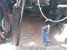 4TASM92N7XZ****** Salvage 1999 Toyota Tacoma in Texas State