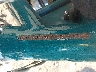 5J11HBJ103W****** Repairable 2003 Big Dog Pitbull in San Diego