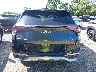 5XYK4CAF1PG****** Usados 2023 Kia Sportage