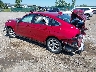 1HGCY1F24RA****** Salvamento y Reparables 2024 Honda Accord en Rochester