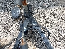 7NRBF2022TF****** Salvage 2026 Utility Trailer Manufacturer Other in Louisville North