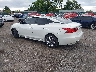 1N4AA6AP0HC****** Salvamento y Reparables 2017 Nissan Maxima en Philadelphia